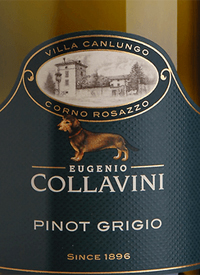 Collavini Villa Canlungo Pinot Grigiotext