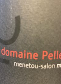 Domaine Pellé Morogues Rougetext