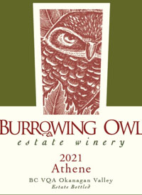 Burrowing Owl Athenetext