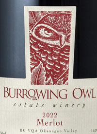 Burrowing Owl Merlottext