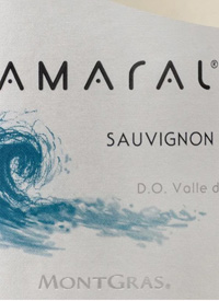 Amaral Sauvignon Blanctext