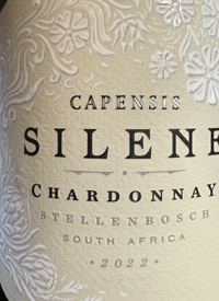 Capensis Silene Chardonnaytext
