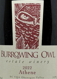 Burrowing Owl Athenetext