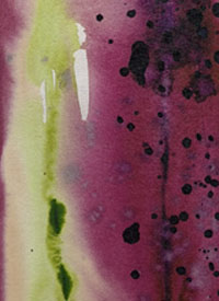 Roche Artist Series Pinot Gristext