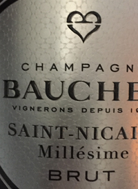 Champagne Bauchet Saint-Nicaise Blanc de Blancs Millesime Bruttext